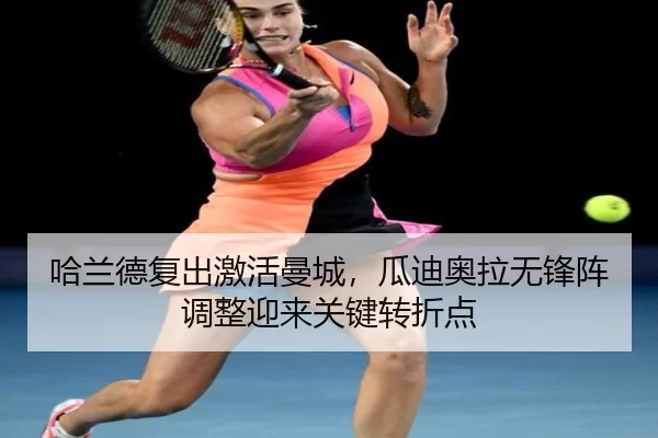 ha-lan-de-fu-chu-ji-huo-man-cheng-gua-di-ao-la-wu-feng-zhen-tiao-zheng-ying-lai-guan-jian-zhuan-zhe-dian-2-302.jpg