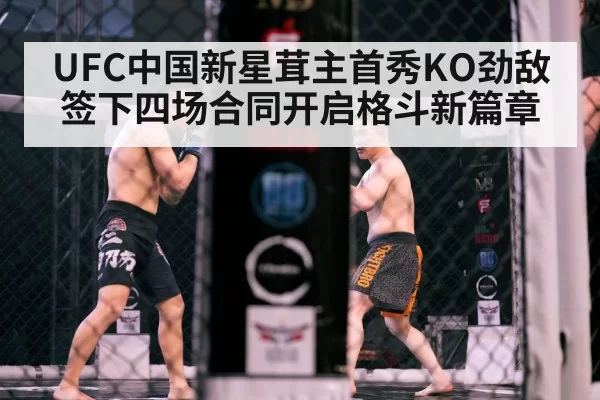 UFC中国新星茸主首秀KO劲敌 签下四场合同开启格斗新篇章