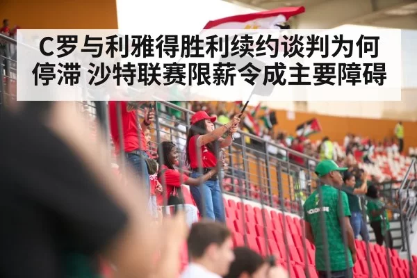 soccer stadium fans