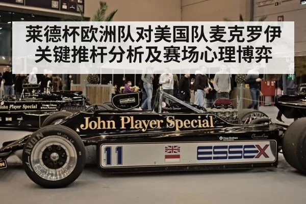 莱德杯欧洲队对美国队麦克罗伊关键推杆分析及赛场心理博弈