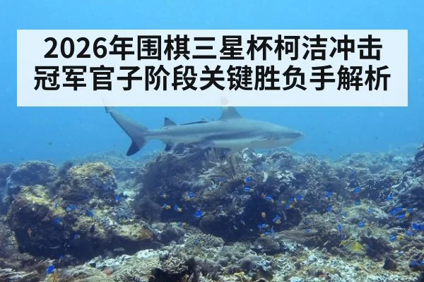 2026年围棋三星杯柯洁冲击冠军官子阶段关键胜负手解析